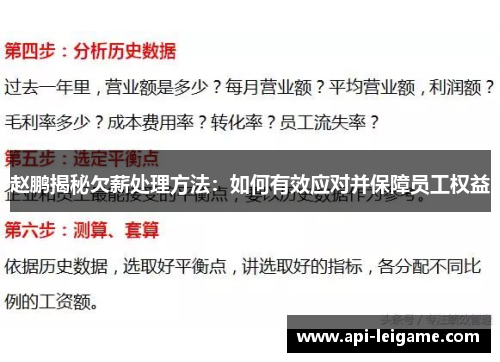 赵鹏揭秘欠薪处理方法：如何有效应对并保障员工权益